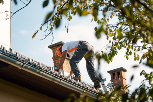 Best Roof Leak Repair  in Preston, IA
