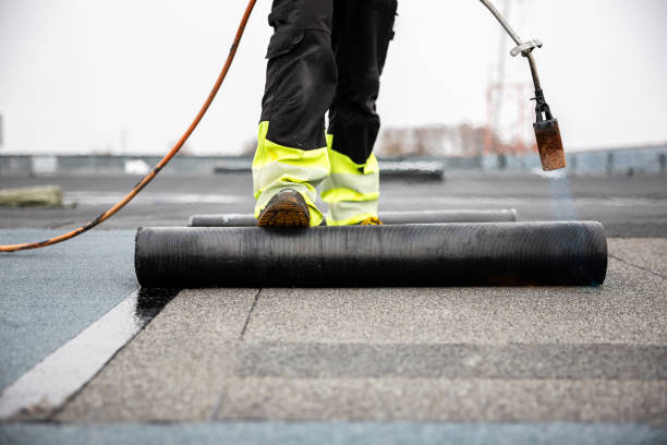 Best Cold Roofs  in Preston, IA